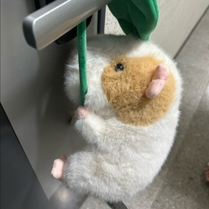모루못토상 인형