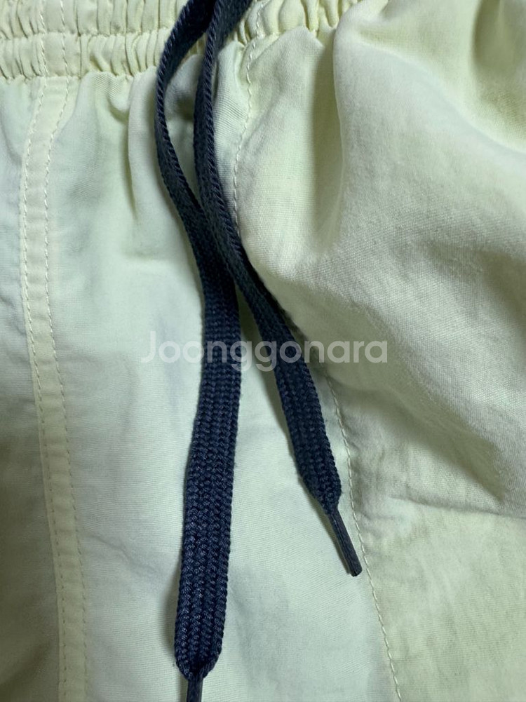 파타고니아 배기스5인치 라임 M사이즈--2