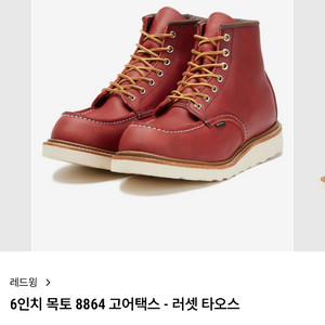 레드윙 8864 고어텍스 목토 9D