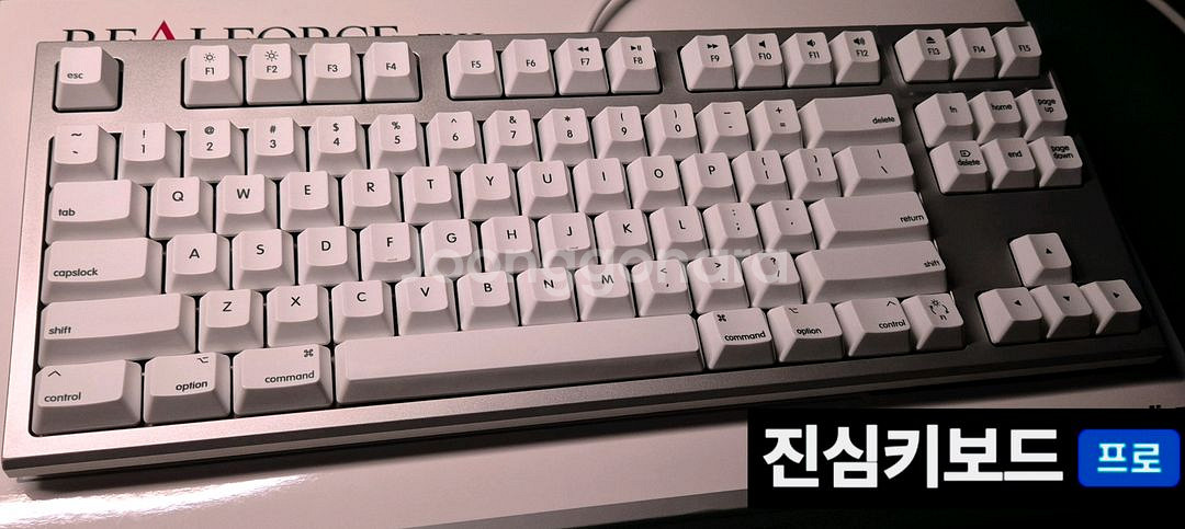 (*단종) 리얼포스 2세대 for MAC 토프레 차등--1