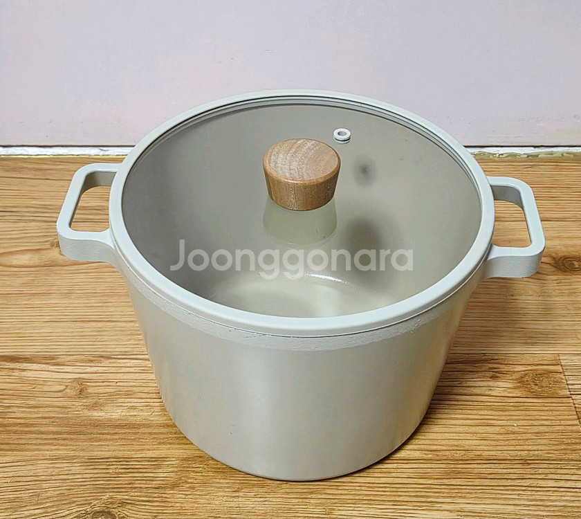 네오플램 피카 IH 인덕션 곰솥 냄비--0