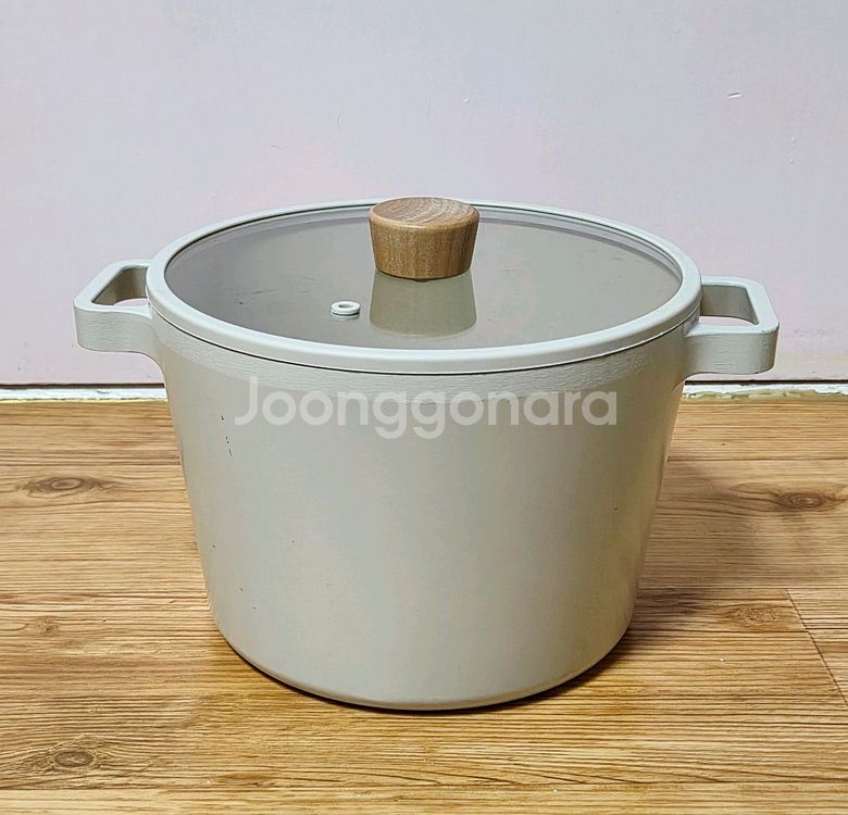 네오플램 피카 IH 인덕션 곰솥 냄비--1