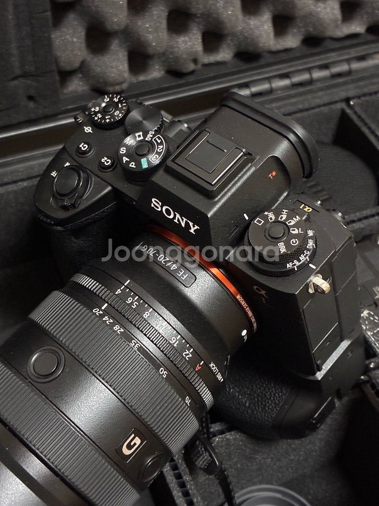 Sony a1 (45000컷)--1