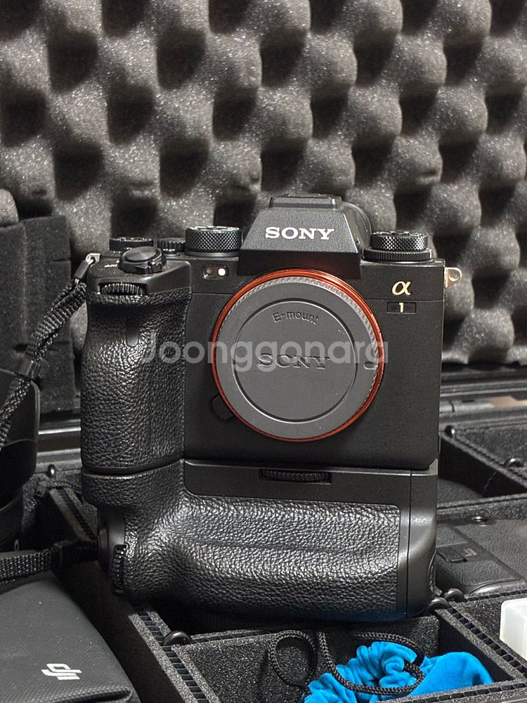 Sony a1 (45000컷)--0