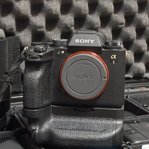 Sony a1 (45000컷)