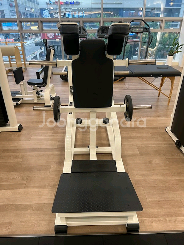 옥시즌 브이스쿼트--0