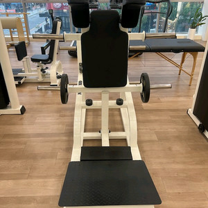 옥시즌 브이스쿼트