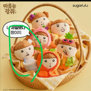 마루는 강쥐 코코제로 요거트마루