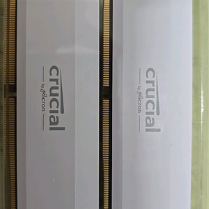 마이크론 32gb 2개 6400 cl40 램 팝니다