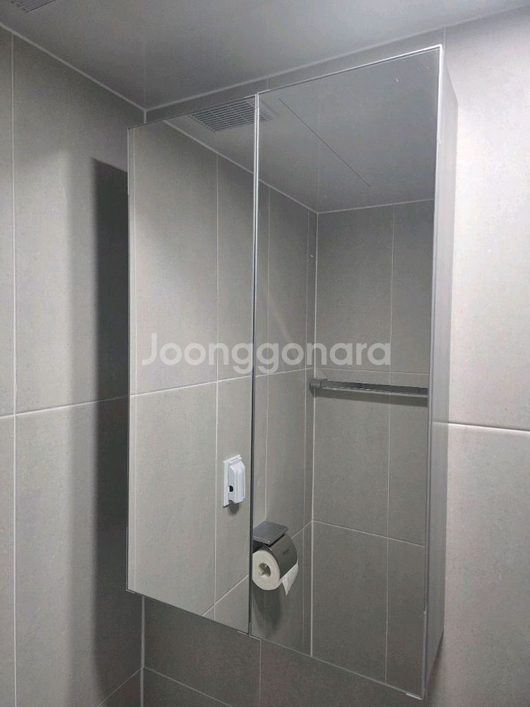 거울장 욕실장 수납장 화장실 욕실--1