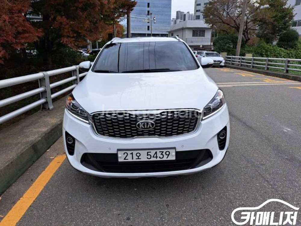 [기아]더 뉴 쏘렌토 디젤 2.0 2WD 프레스티지 #--0