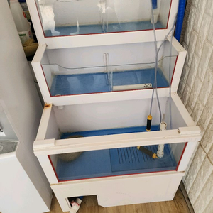 업소용 수족관 이미지