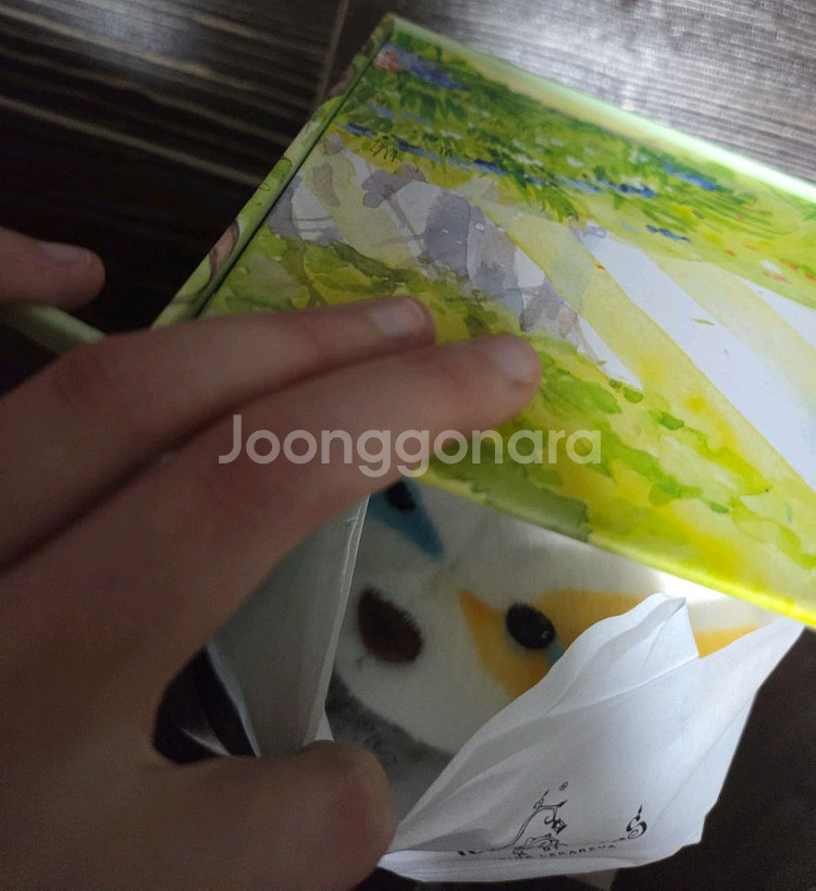 [새상품] 테디테일즈 두들베어 M 더샤인--1