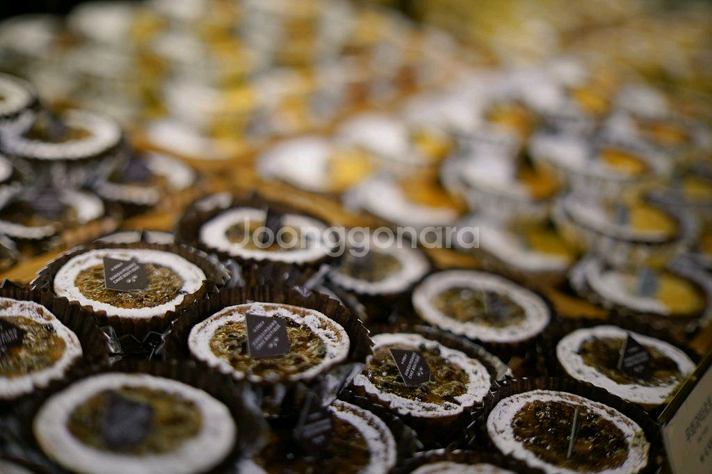 삼양 50mm F1.4 50.4 AF II (2세대)--6