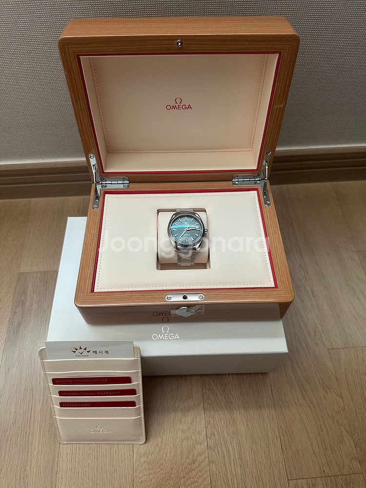 (1일 착용) 오메가 씨마스터 아쿠아테라 녹판 41mm--0