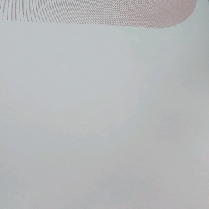 LG 프라엘 더마쎄라 BLQ1