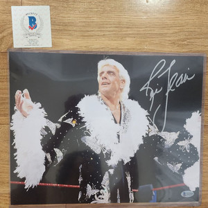 WWE 레슬링 레슬러 슈퍼스타 친필 싸인(사인)
