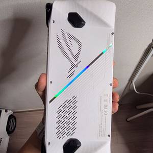 rog ally 백갈리 로갈리 2tb 택포