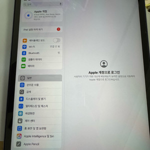 아이패드프로11 스그 m2 셀룰러,애플펜슬,정품케이스