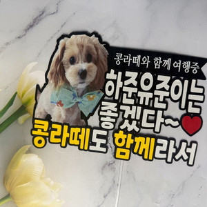 사랑둥이 반려견 맞춤 토퍼