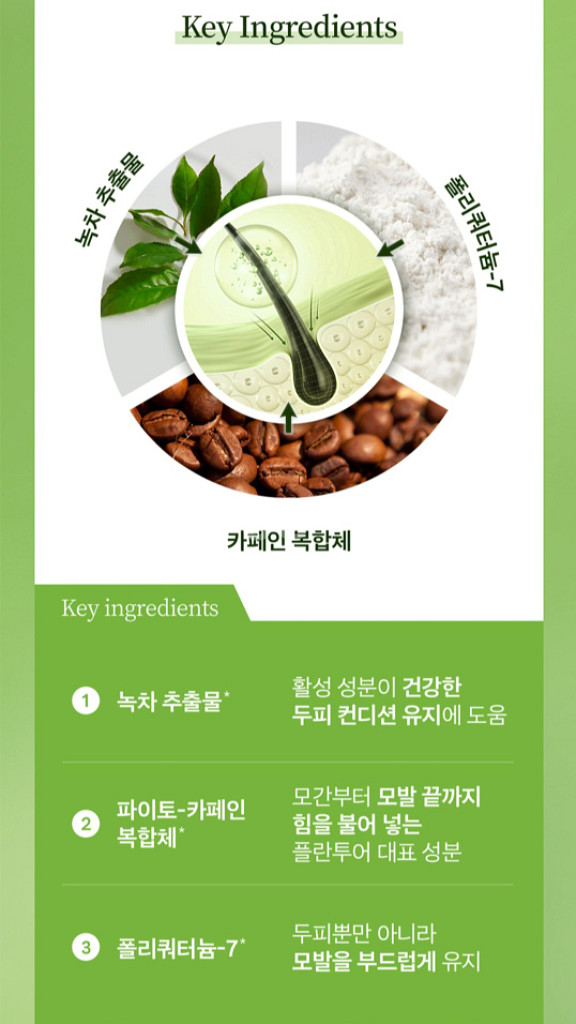 플란투어39 파이토 카페인 샴푸--4