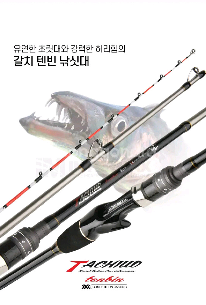 갈치 텐빈낚시대 B210 준내만갈치선상대--0