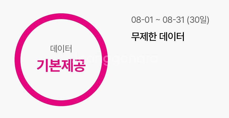 LG 유플러스 데이터 1기가 (최대 2기가)--0