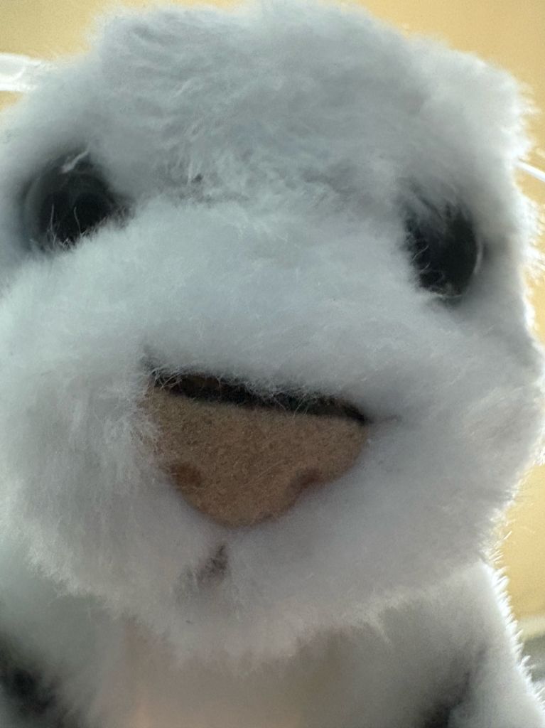 profile-image