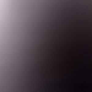 미니 네셔널캐리어