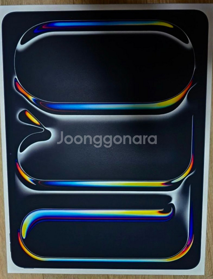 아이패드 프로 13 M4 wifi 256 스페이스블랙--3