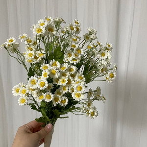데이지 조화 부케