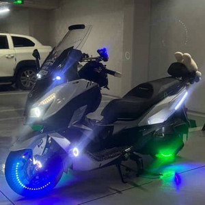 크루심 알파 300 판매합니다