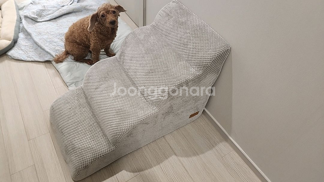 강아지 계단--0