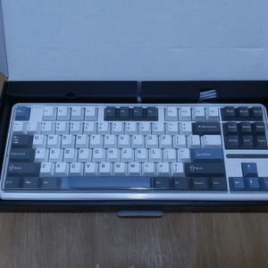 독거미 f87 pro 그레이축