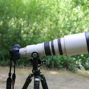캐논500mm렌즈+포토클램 카본삼각대,시루이짐벌헤드
