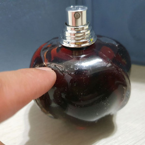 디올 쁘아종 걸 EDP 100ml 향수 (11)