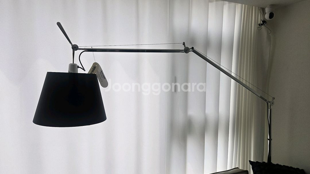 아르떼미데 톨로메오--0