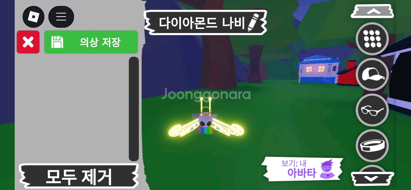 입양하세요 펫 메가네온 다이아몬드 나비 판매해요--0
