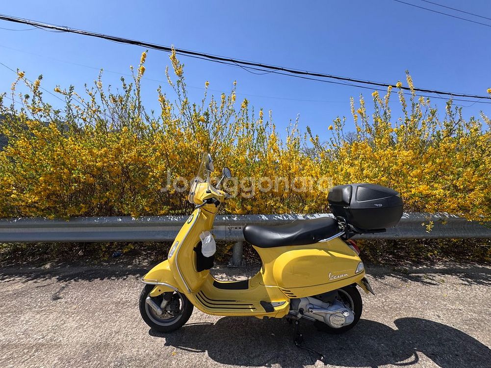 베스파 lx125 옐로우--1