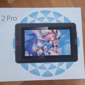 Xp pen Artist 12 pro