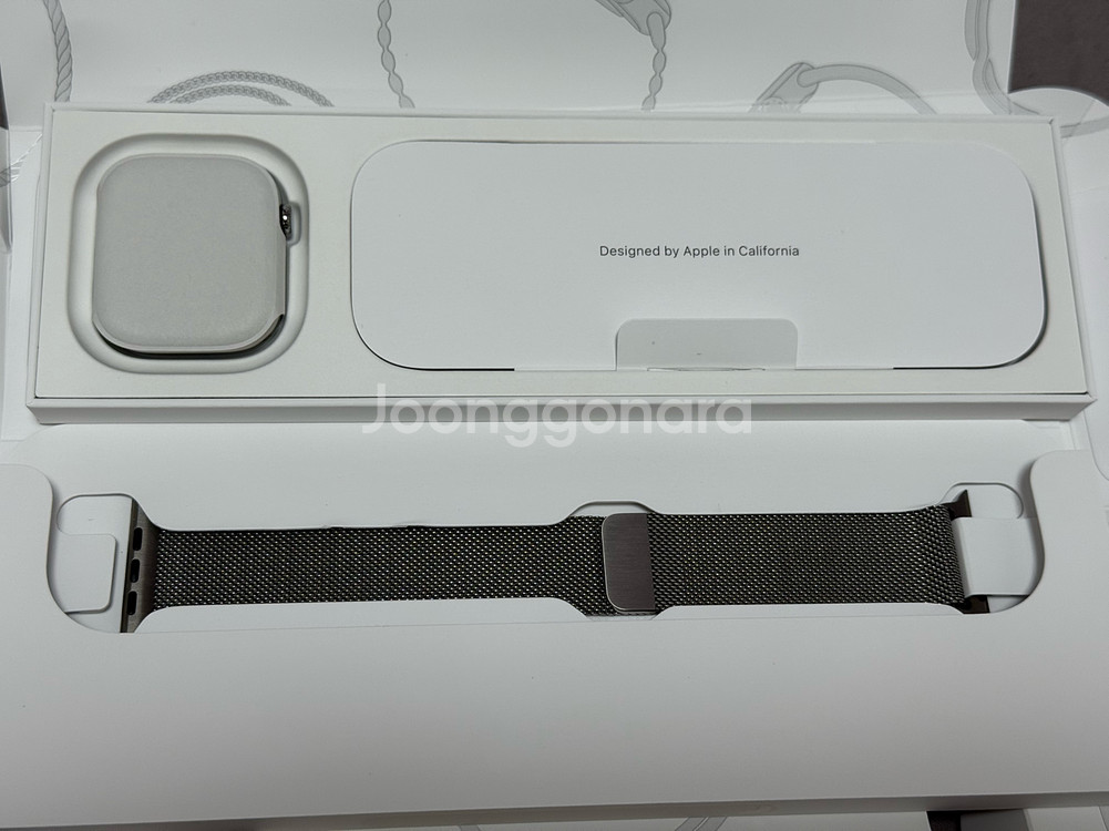 애플워치 10 티타늄 46mm + 밀레니즈 루프--0