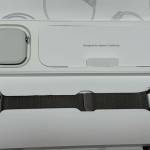 애플워치 10 티타늄 46mm + 밀레니즈 루프