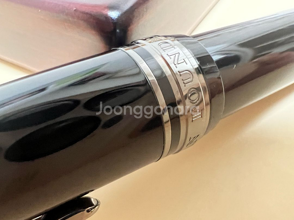 세일러 프로피트 만년필 21K 블랙 러스터 EF--6