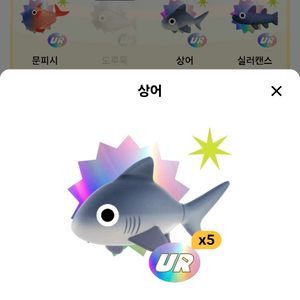 틱톡 라이트 낚시 상어와 문피쉬 그외 개복치 피라