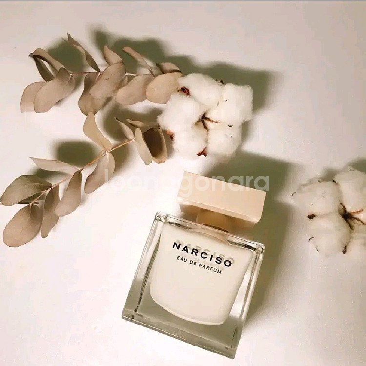 나르시소 로드리게즈 푸드레 오드퍼퓸 90ml--1