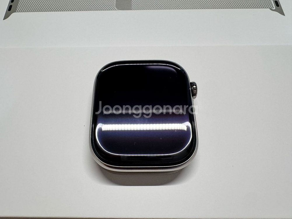 애플워치 10 내추럴 티타늄 46mm 애플케어플러스--0