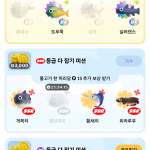 틱톡라이트 도루묵 팝니다