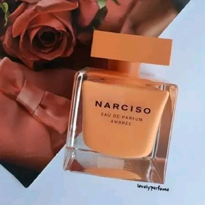 나르시소 로드리게즈 엉브레 오드퍼퓸 90ml