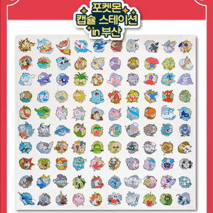 포켓몬 랜덤뱃지 파라블레이즈 물물교환으로 구합니다
