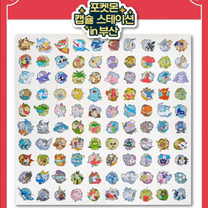 포켓몬 랜덤뱃지 파라블레이즈 물물교환으로 구합니다